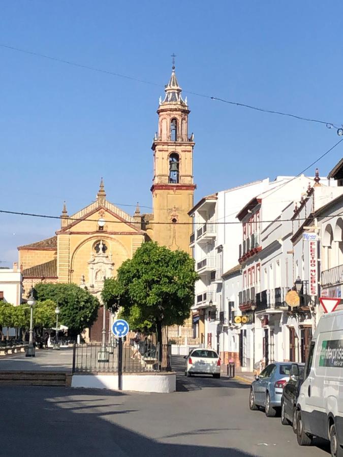 El Oasis Algodonales Exterior photo